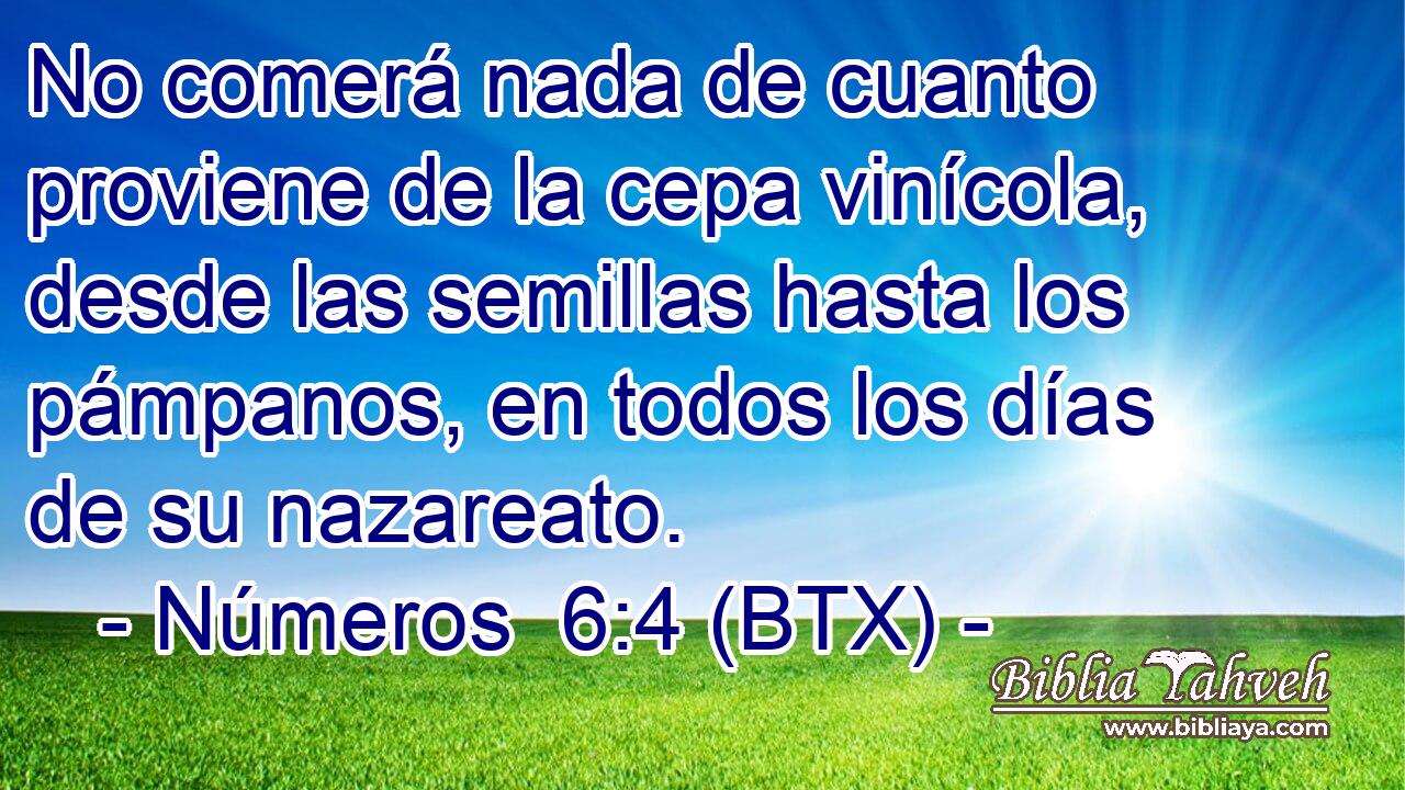 No comerá nada de cuanto proviene de la cepa vinícola, desde las semillas hasta los pámpanos, en todos los días de su nazareato.