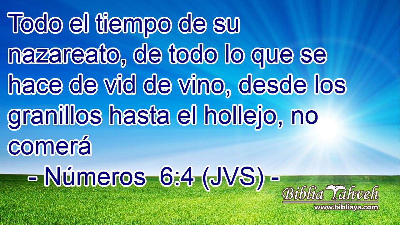 Todo el tiempo de su nazareato, de todo lo que se hace de vid de vino, desde los granillos hasta el hollejo, no comerá