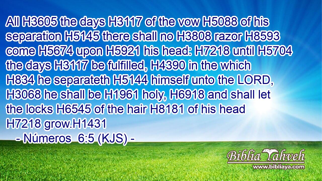 All H3605 the days H3117 of the vow H5088 of his separation H5145 there shall no H3808 razor H8593 come H5674 upon H5921 his head: H7218 until H5704 the days H3117 be fulfilled, H4390 in the which H834 he separateth H5144 himself unto the LORD, H3068 he shall be H1961 holy, H6918 and shall let the locks H6545 of the hair H8181 of his head H7218 grow.H1431