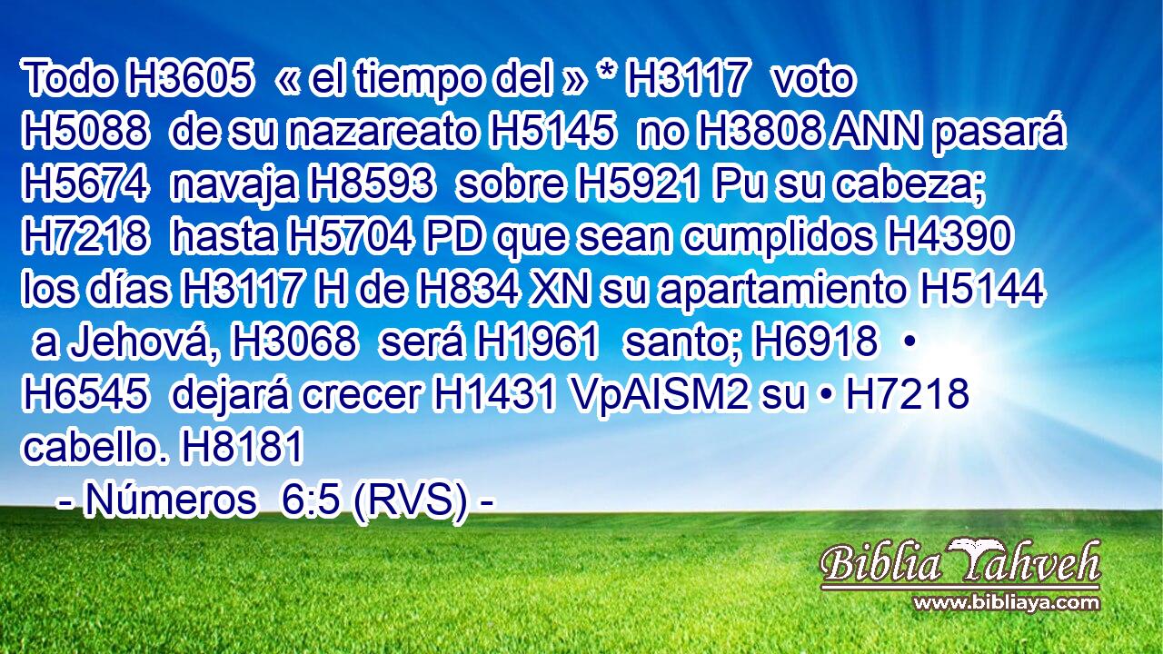 Todo H3605  « el tiempo del » * H3117  voto H5088  de su nazareato H5145  no H3808 ANN pasará H5674  navaja H8593  sobre H5921 Pu su cabeza; H7218  hasta H5704 PD que sean cumplidos H4390  los días H3117 H de H834 XN su apartamiento H5144  a Jehová, H3068  será H1961  santo; H6918  • H6545  dejará crecer H1431 VpAISM2 su • H7218  cabello. H8181  