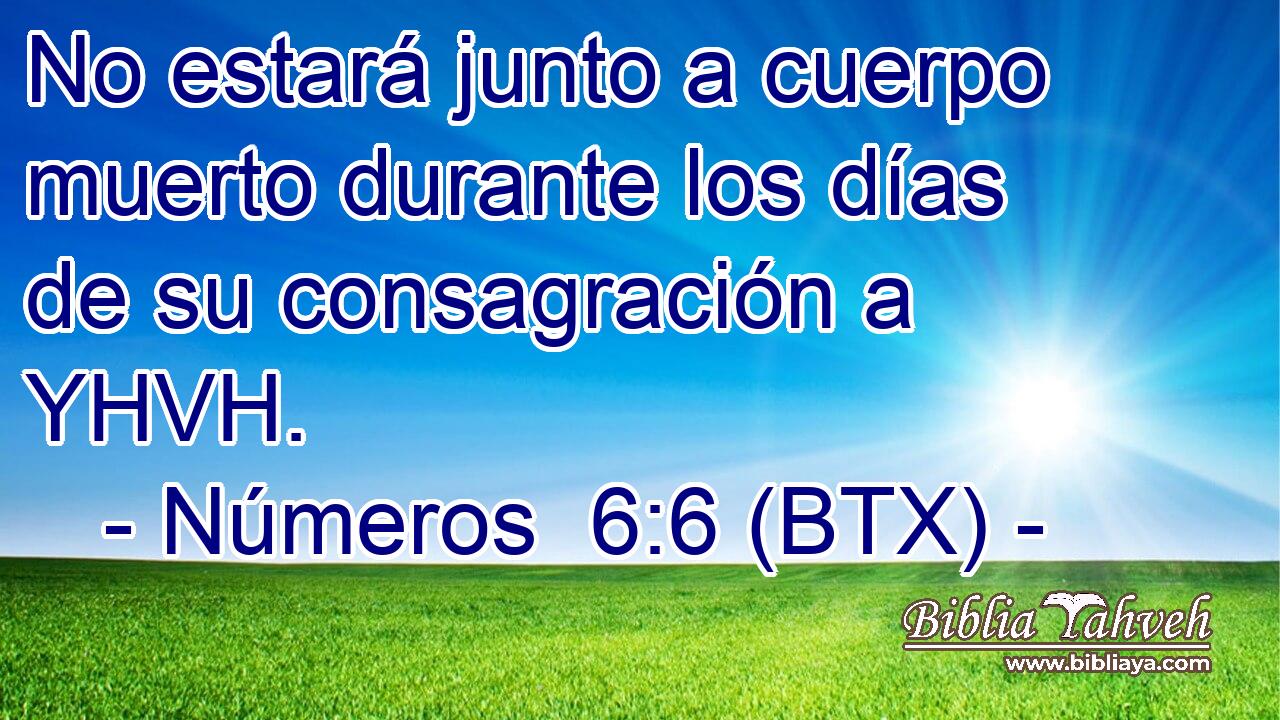 No estará junto a cuerpo muerto durante los días de su consagración a YHVH.