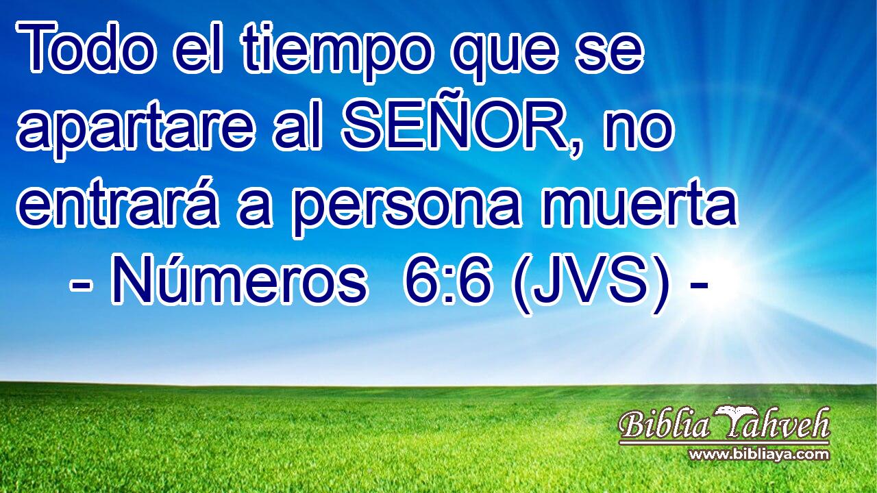 Todo el tiempo que se apartare al SEÑOR, no entrará a persona muerta