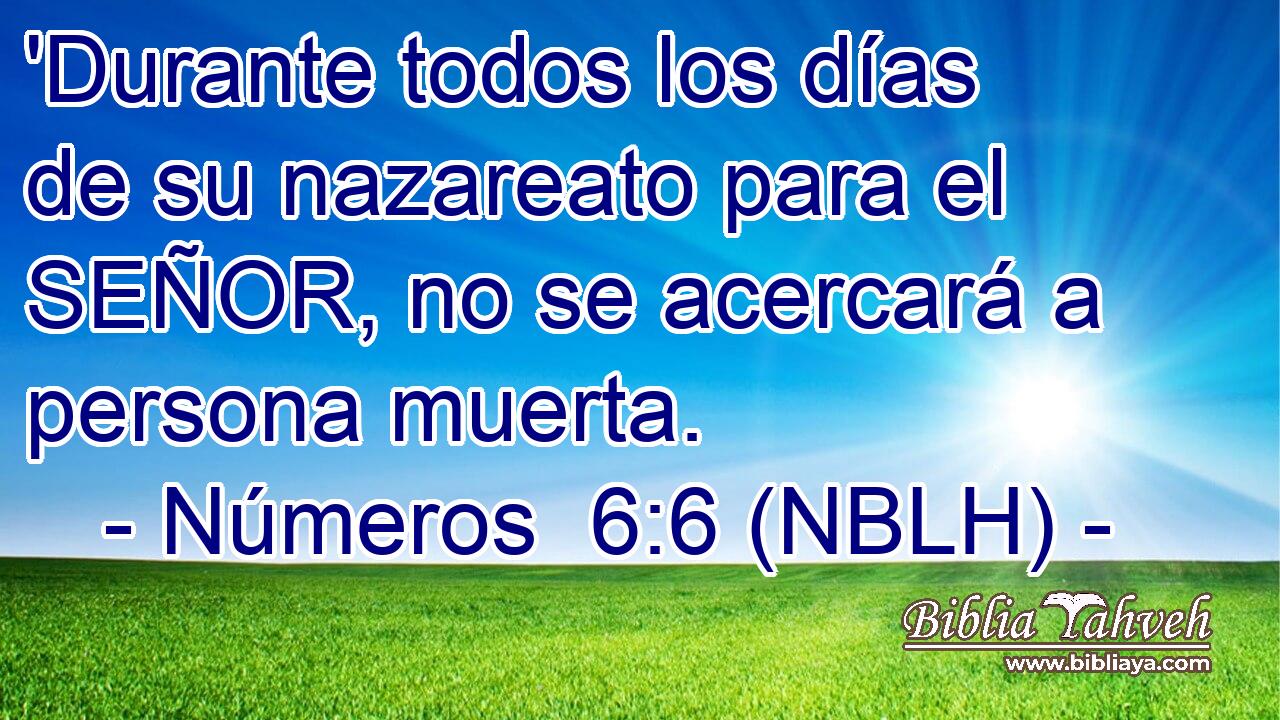  'Durante todos los días de su nazareato para el SEÑOR, no se acercará a persona muerta. 