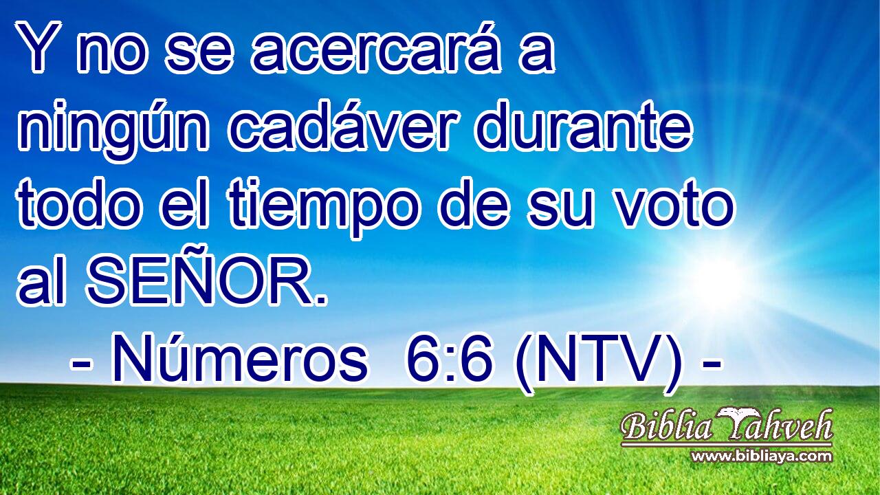 Y no se acercará a ningún cadáver durante todo el tiempo de su voto al SEÑOR.