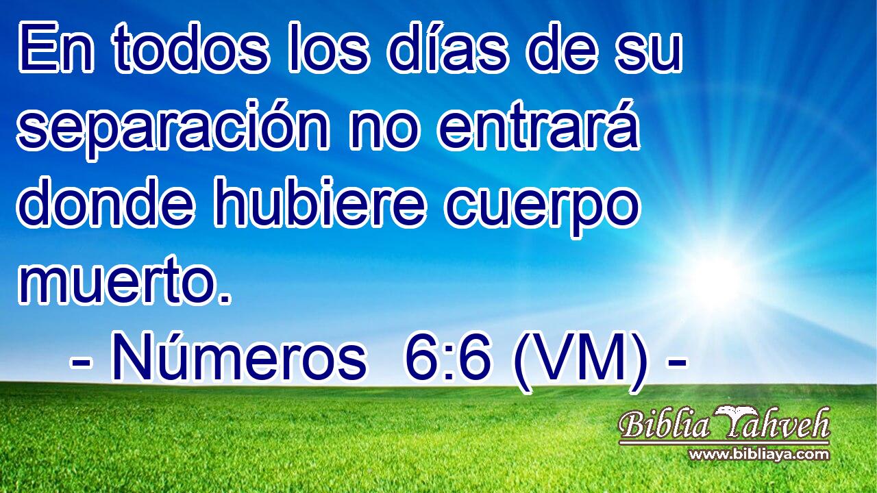  En todos los días de su separación no entrará donde hubiere cuerpo muerto. 