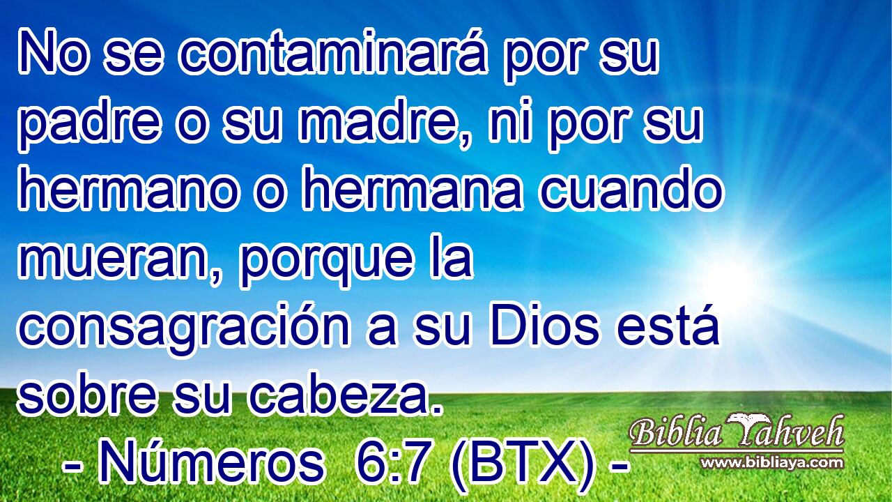 No se contaminará por su padre o su madre, ni por su hermano o hermana cuando mueran, porque la consagración a su Dios está sobre su cabeza.