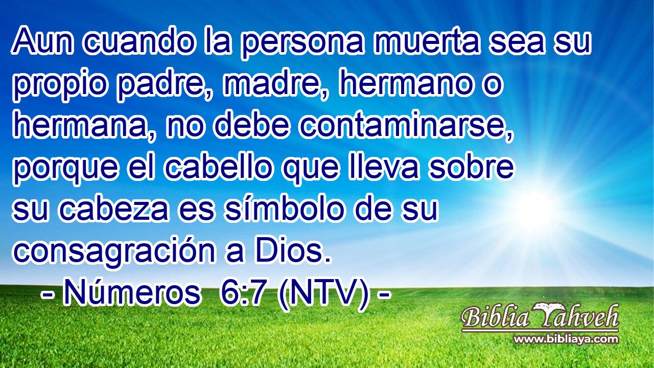 Aun cuando la persona muerta sea su propio padre, madre, hermano o hermana, no debe contaminarse, porque el cabello que lleva sobre su cabeza es símbolo de su consagración a Dios.