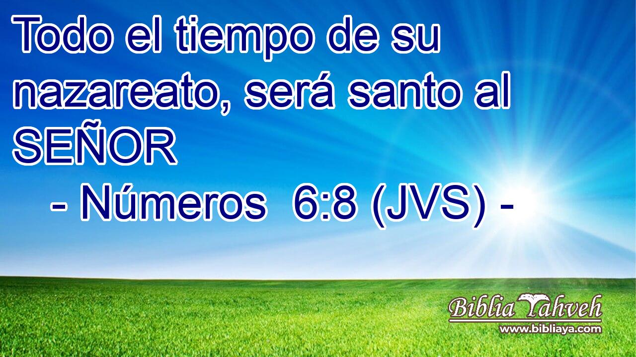 Todo el tiempo de su nazareato, será santo al SEÑOR