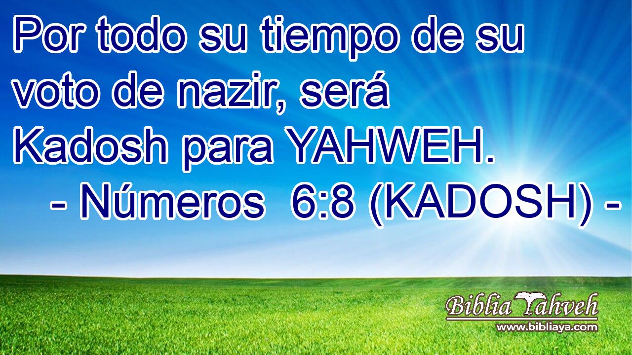  Por todo su tiempo de su voto de nazir, será Kadosh para YAHWEH. 