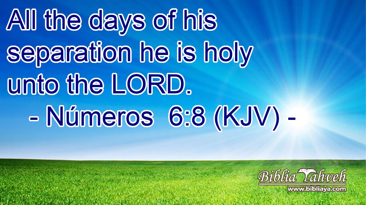 All the days of his separation he is holy unto the LORD.