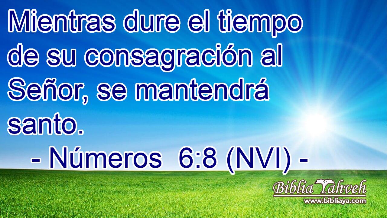  Mientras dure el tiempo de su consagración al Señor, se mantendrá santo. 