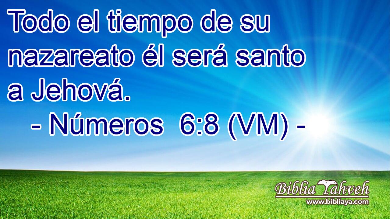  Todo el tiempo de su nazareato él será santo a Jehová. 
