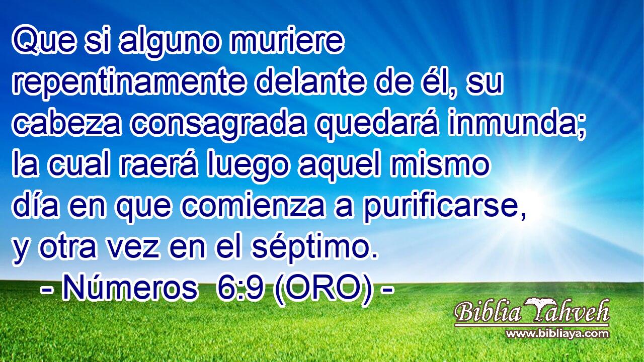  Que si alguno muriere repentinamente delante de él, su cabeza consagrada quedará inmunda; la cual raerá luego aquel mismo día en que comienza a purificarse, y otra vez en el séptimo. 
