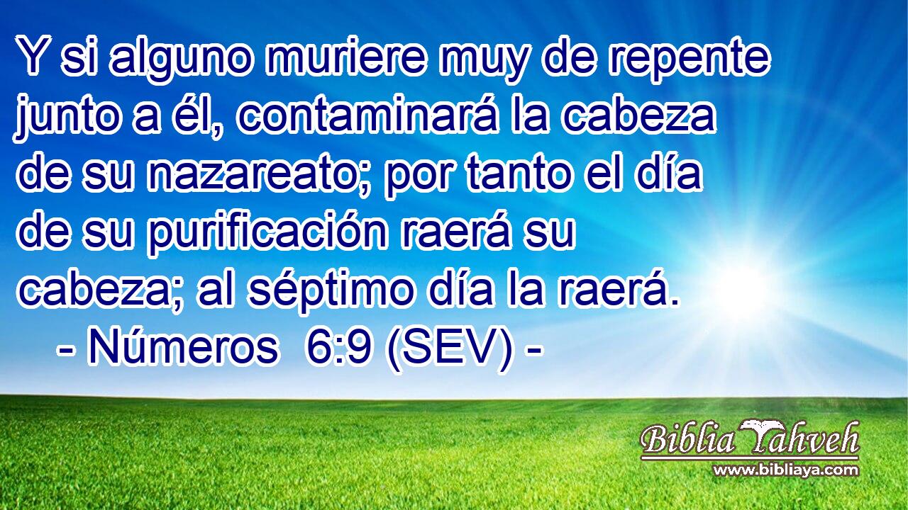Y si alguno muriere muy de repente junto a él, contaminará la cabeza de su nazareato; por tanto el día de su purificación raerá su cabeza; al séptimo día la raerá.