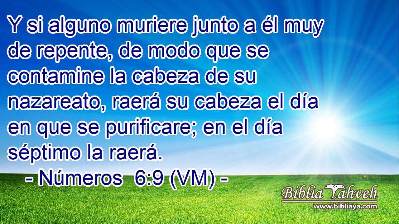  Y si alguno muriere junto a él muy de repente, de modo que se contamine la cabeza de su nazareato, raerá su cabeza el día en que se purificare; en el día séptimo la raerá. 