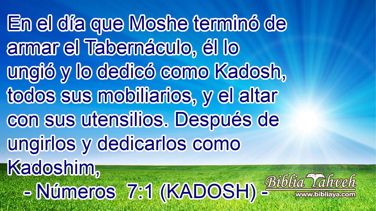  En el día que Moshe terminó de armar el Tabernáculo, él lo ungió y lo dedicó como Kadosh, todos sus mobiliarios, y el altar con sus utensilios. Después de ungirlos y dedicarlos como Kadoshim, 