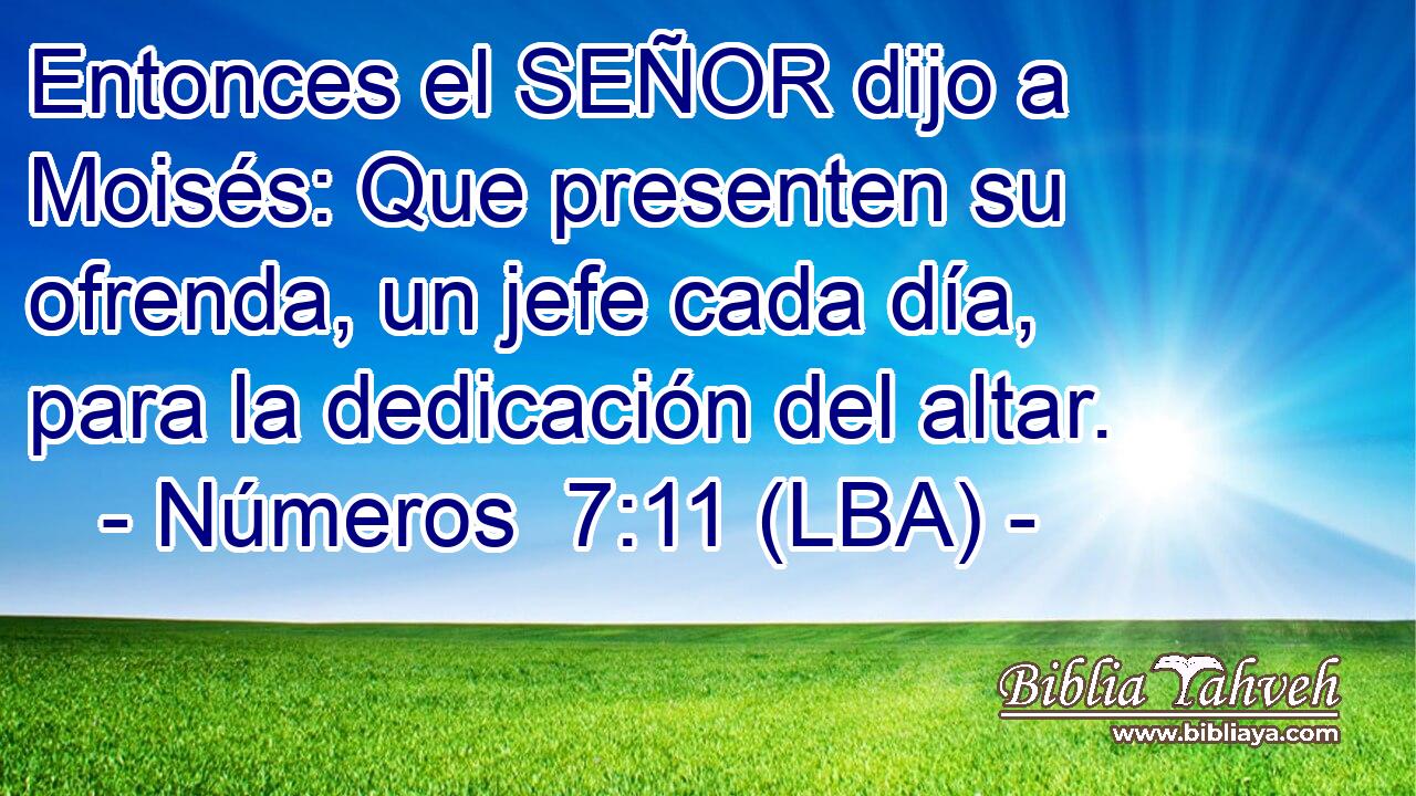 Entonces el SEÑOR dijo a Moisés: Que presenten su ofrenda, un jefe cada día, para la dedicación del altar.