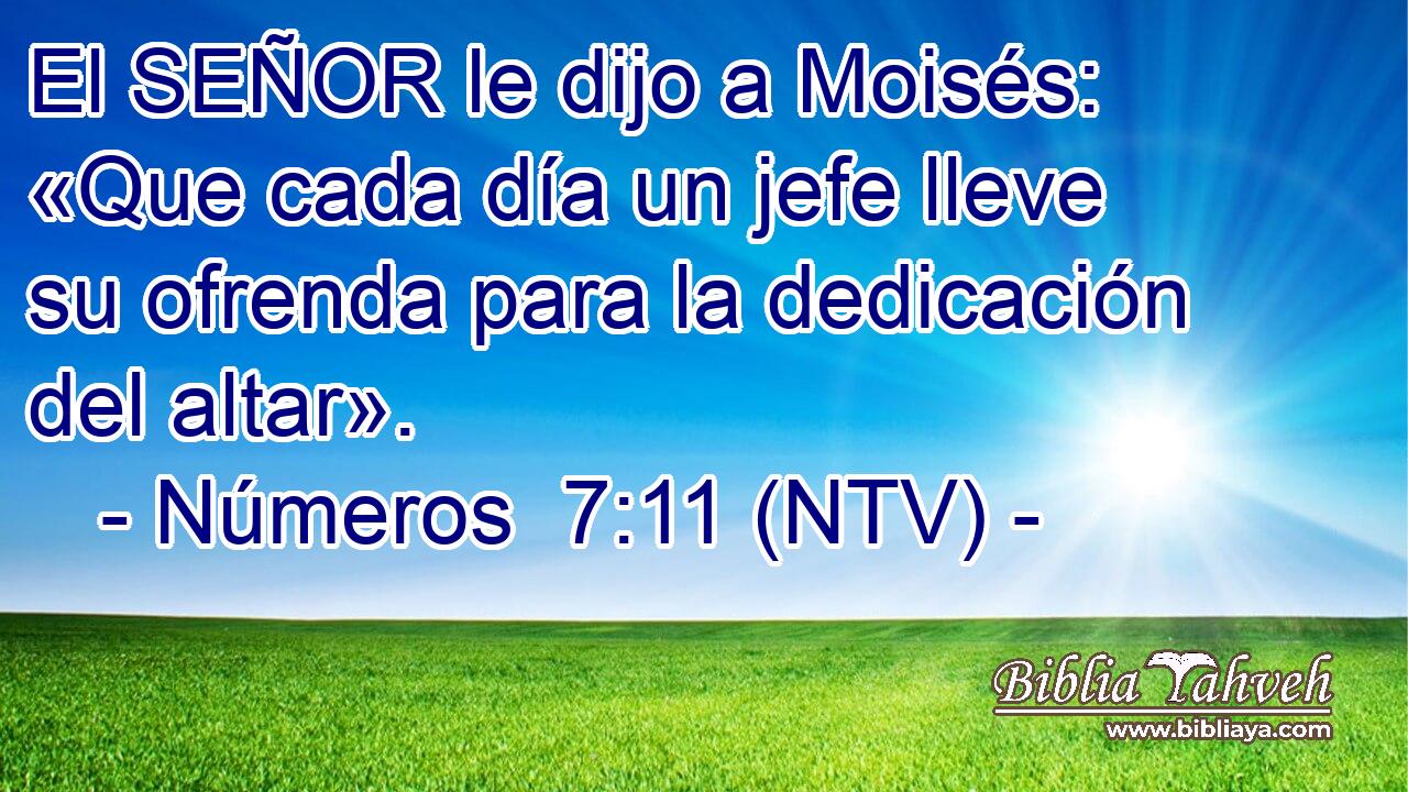 El SEÑOR le dijo a Moisés: «Que cada día un jefe lleve su ofrenda para la dedicación del altar».