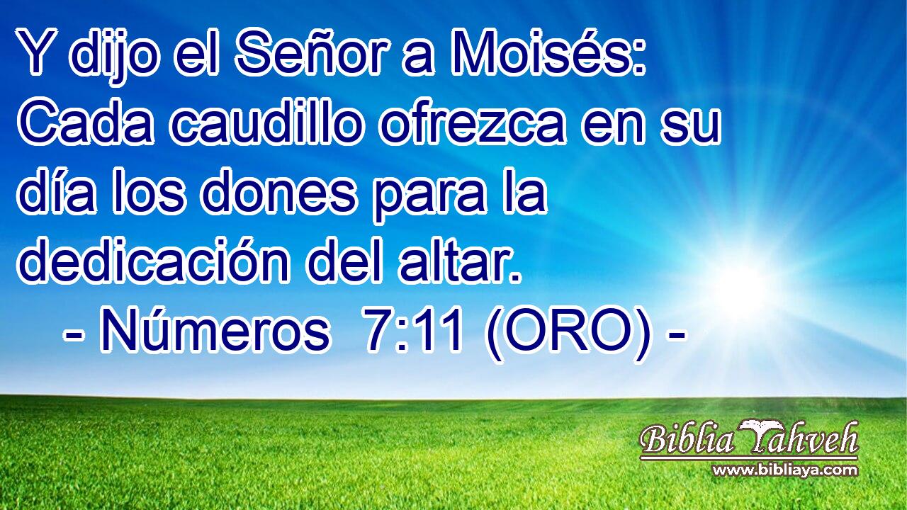  Y dijo el Señor a Moisés: Cada caudillo ofrezca en su día los dones para la dedicación del altar. 