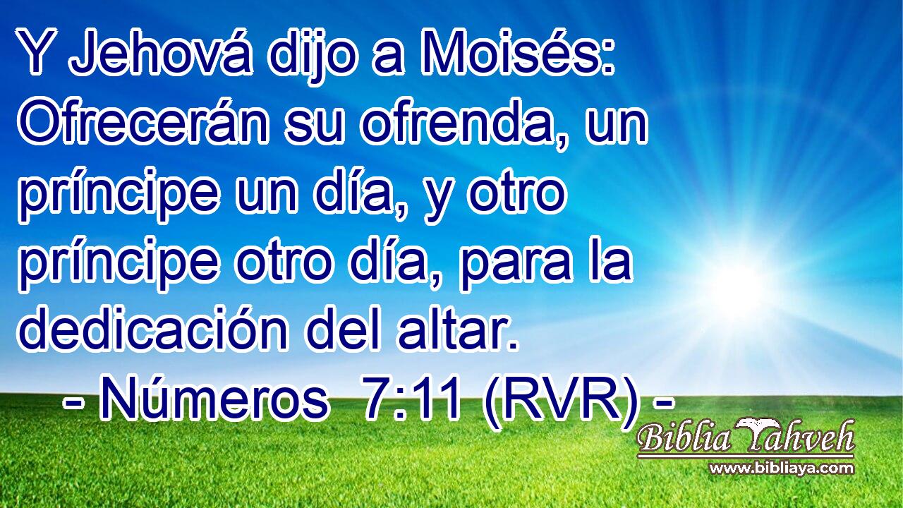 Y Jehová dijo a Moisés: Ofrecerán su ofrenda, un príncipe un día, y otro príncipe otro día, para la dedicación del altar.
