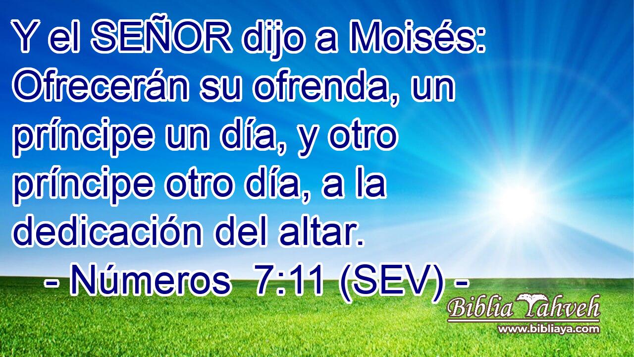 Y el SEÑOR dijo a Moisés: Ofrecerán su ofrenda, un príncipe un día, y otro príncipe otro día, a la dedicación del altar.