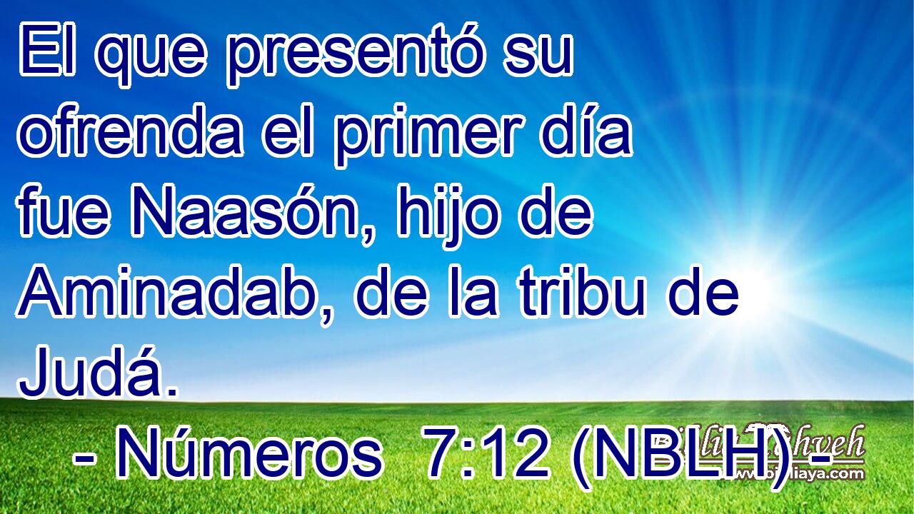  El que presentó su ofrenda el primer día fue Naasón, hijo de Aminadab, de la tribu de Judá. 