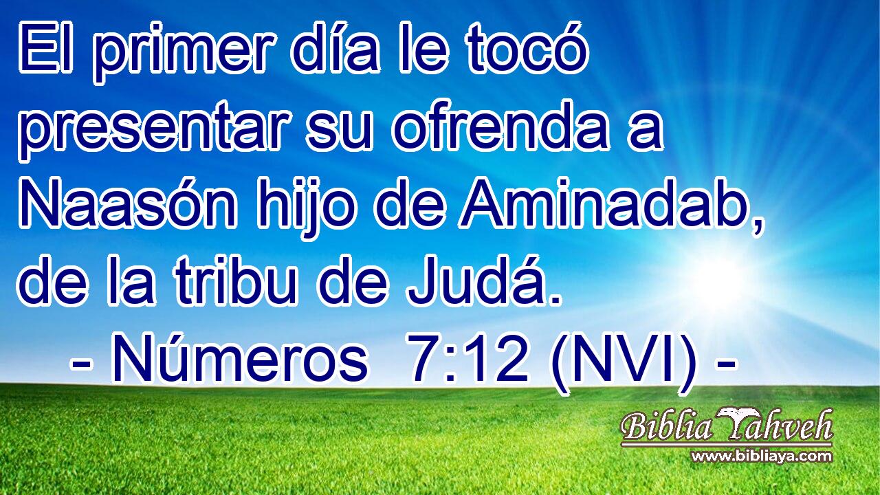  El primer día le tocó presentar su ofrenda a Naasón hijo de Aminadab, de la tribu de Judá. 