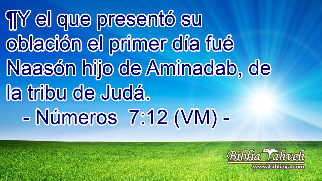  ¶Y el que presentó su oblación el primer día fué Naasón hijo de Aminadab, de la tribu de Judá. 