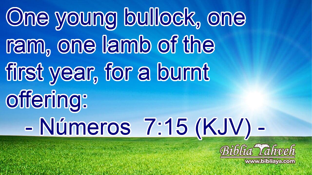 One young bullock, one ram, one lamb of the first year, for a burnt offering: