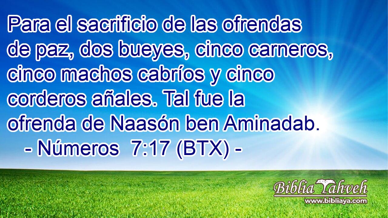 Para el sacrificio de las ofrendas de paz, dos bueyes, cinco carneros, cinco machos cabríos y cinco corderos añales. Tal fue la ofrenda de Naasón ben Aminadab.