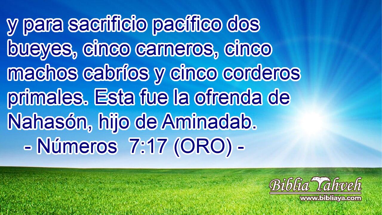  y para sacrificio pacífico dos bueyes, cinco carneros, cinco machos cabríos y cinco corderos primales. Esta fue la ofrenda de Nahasón, hijo de Aminadab. 