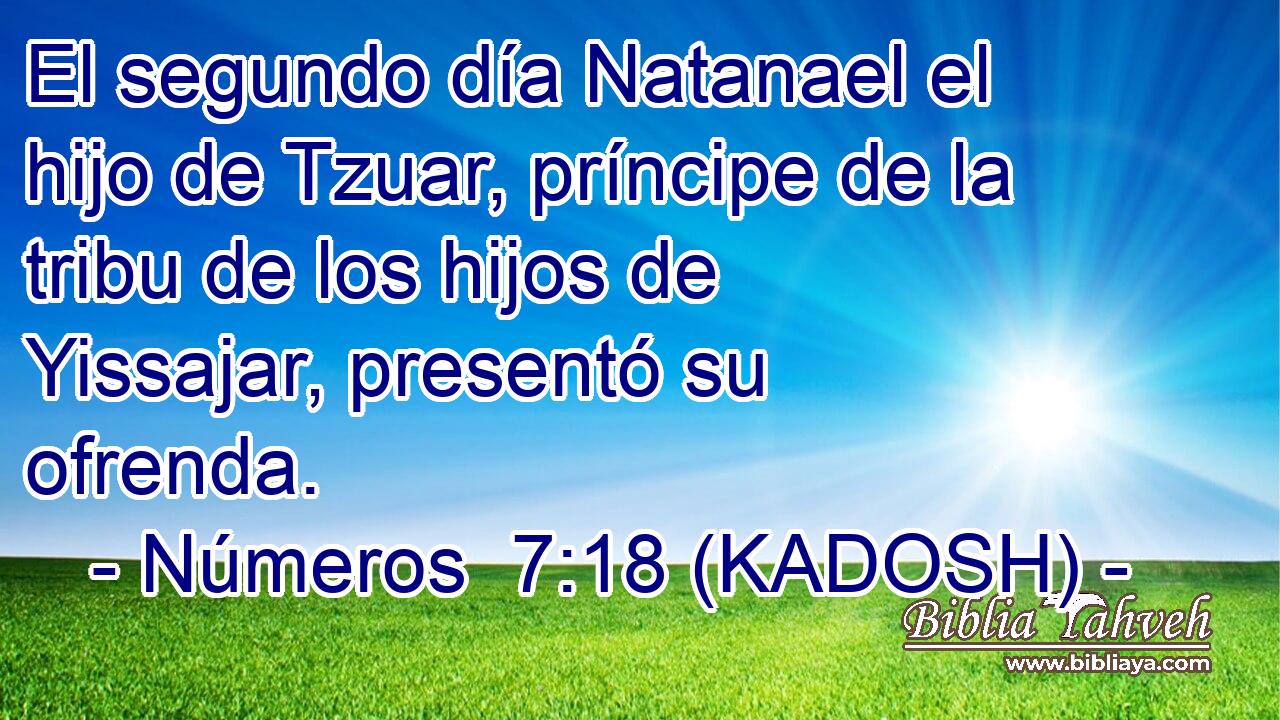  El segundo día Natanael el hijo de Tzuar, príncipe de la tribu de los hijos de Yissajar, presentó su ofrenda. 
