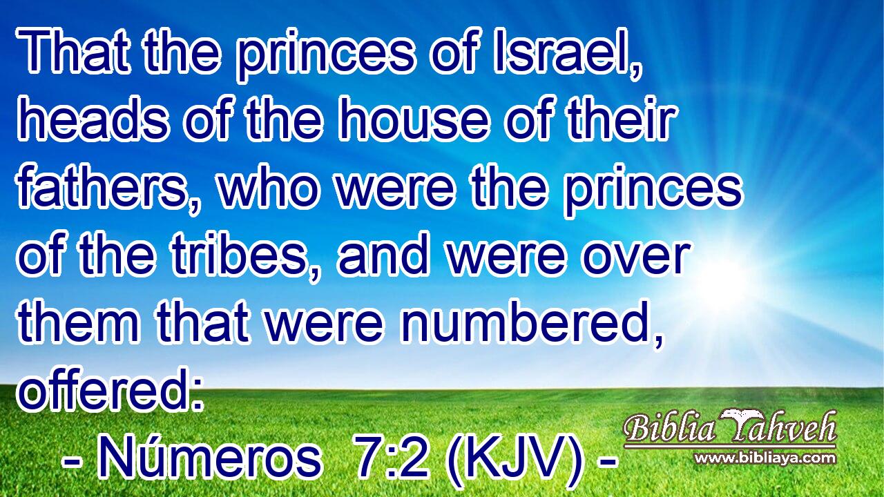 That the princes of Israel, heads of the house of their fathers, who were the princes of the tribes, and were over them that were numbered, offered: