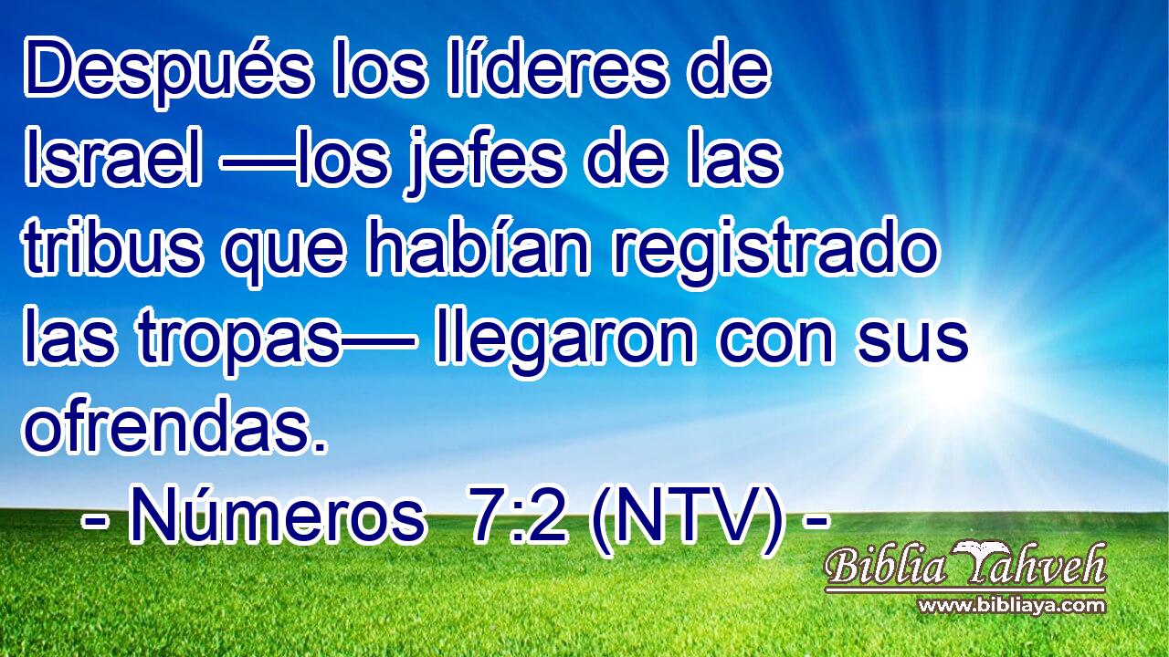 Después los líderes de Israel —los jefes de las tribus que habían registrado las tropas— llegaron con sus ofrendas.