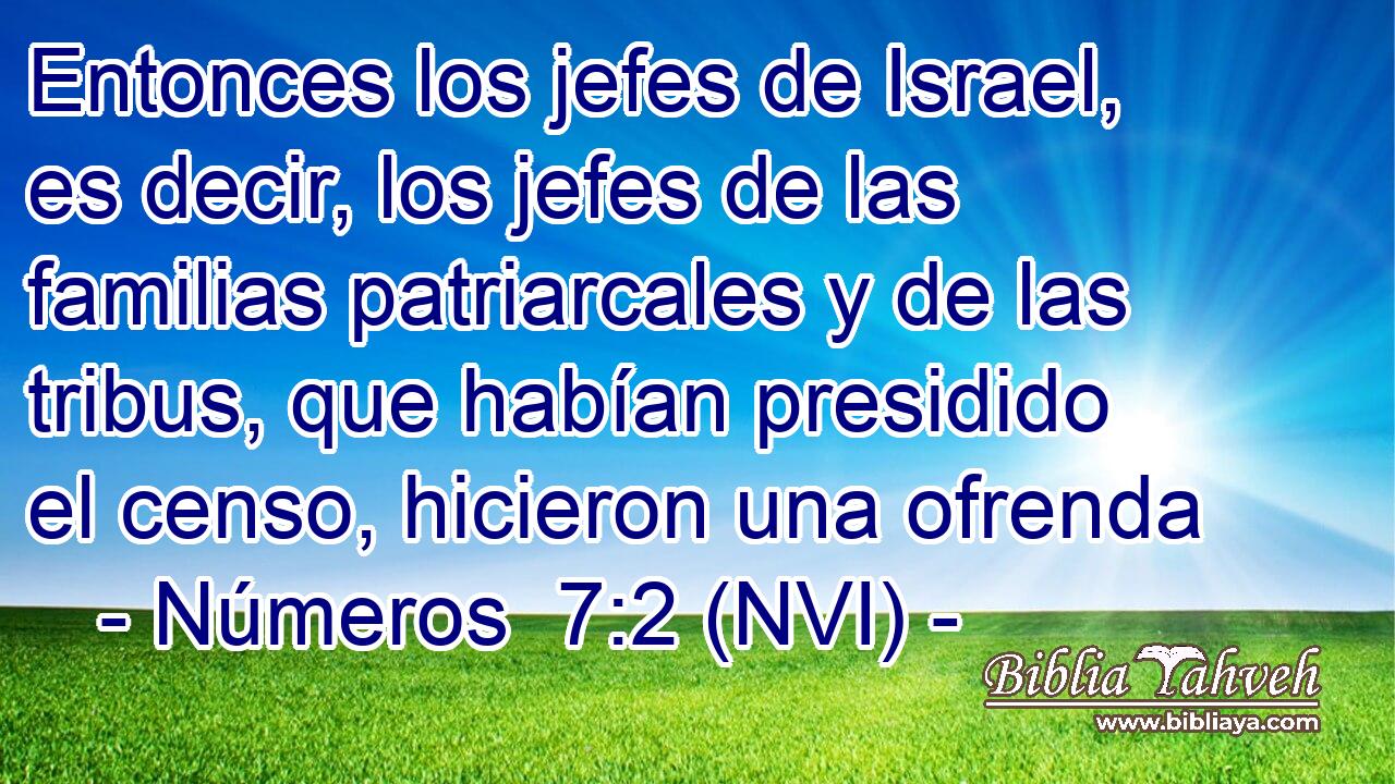  Entonces los jefes de Israel, es decir, los jefes de las familias patriarcales y de las tribus, que habían presidido el censo, hicieron una ofrenda 