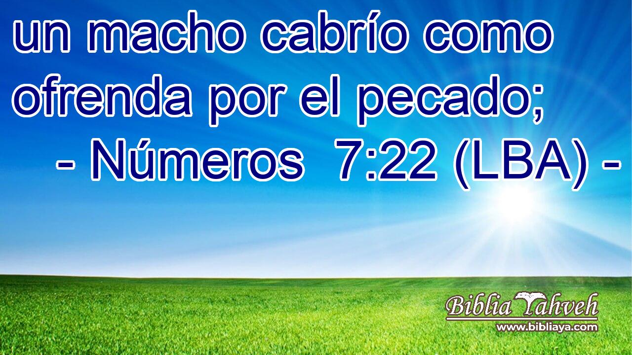 un macho cabrío como ofrenda por el pecado;