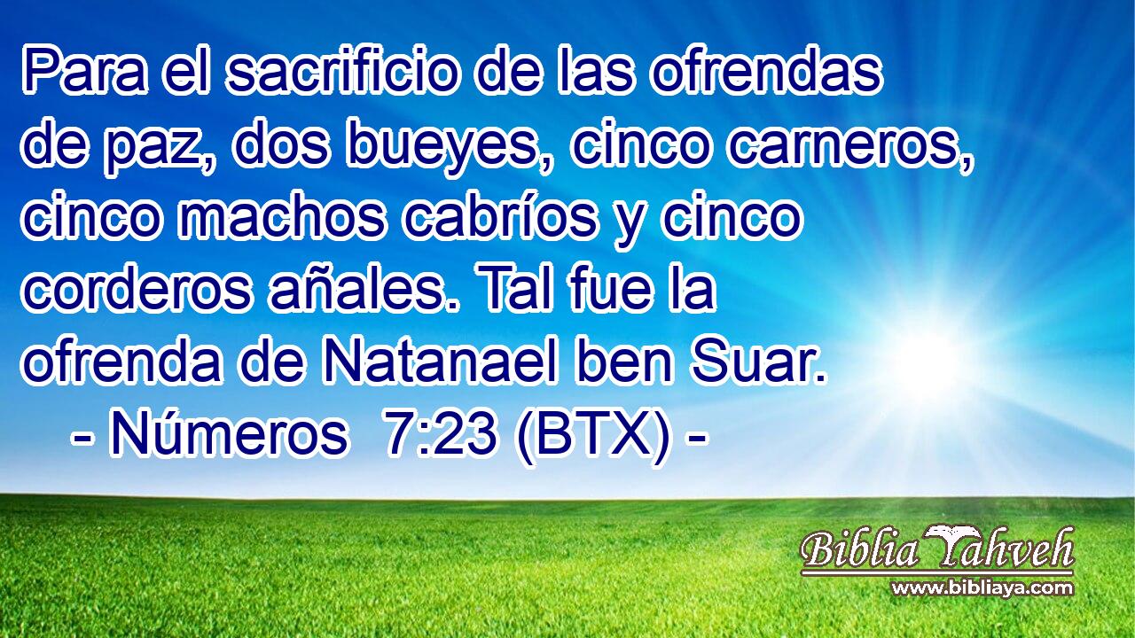 Para el sacrificio de las ofrendas de paz, dos bueyes, cinco carneros, cinco machos cabríos y cinco corderos añales. Tal fue la ofrenda de Natanael ben Suar.
