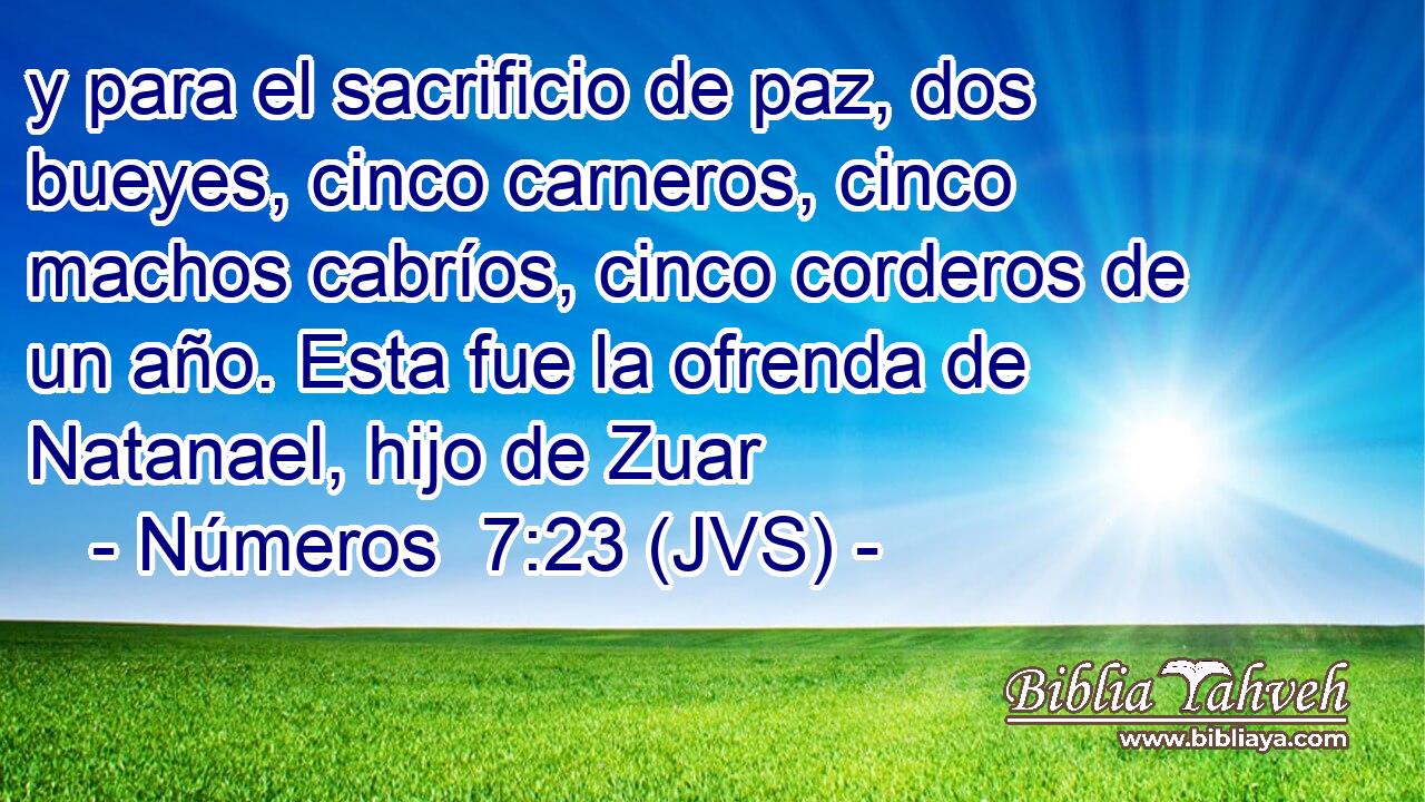 y para el sacrificio de paz, dos bueyes, cinco carneros, cinco machos cabríos, cinco corderos de un año. Esta fue la ofrenda de Natanael, hijo de Zuar