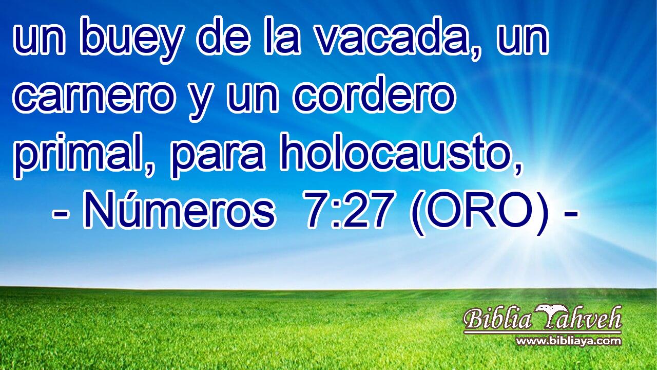  un buey de la vacada, un carnero y un cordero primal, para holocausto, 