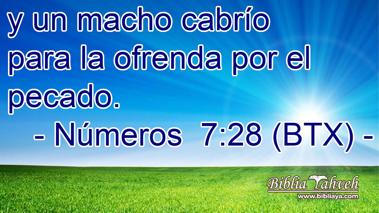y un macho cabrío para la ofrenda por el pecado.