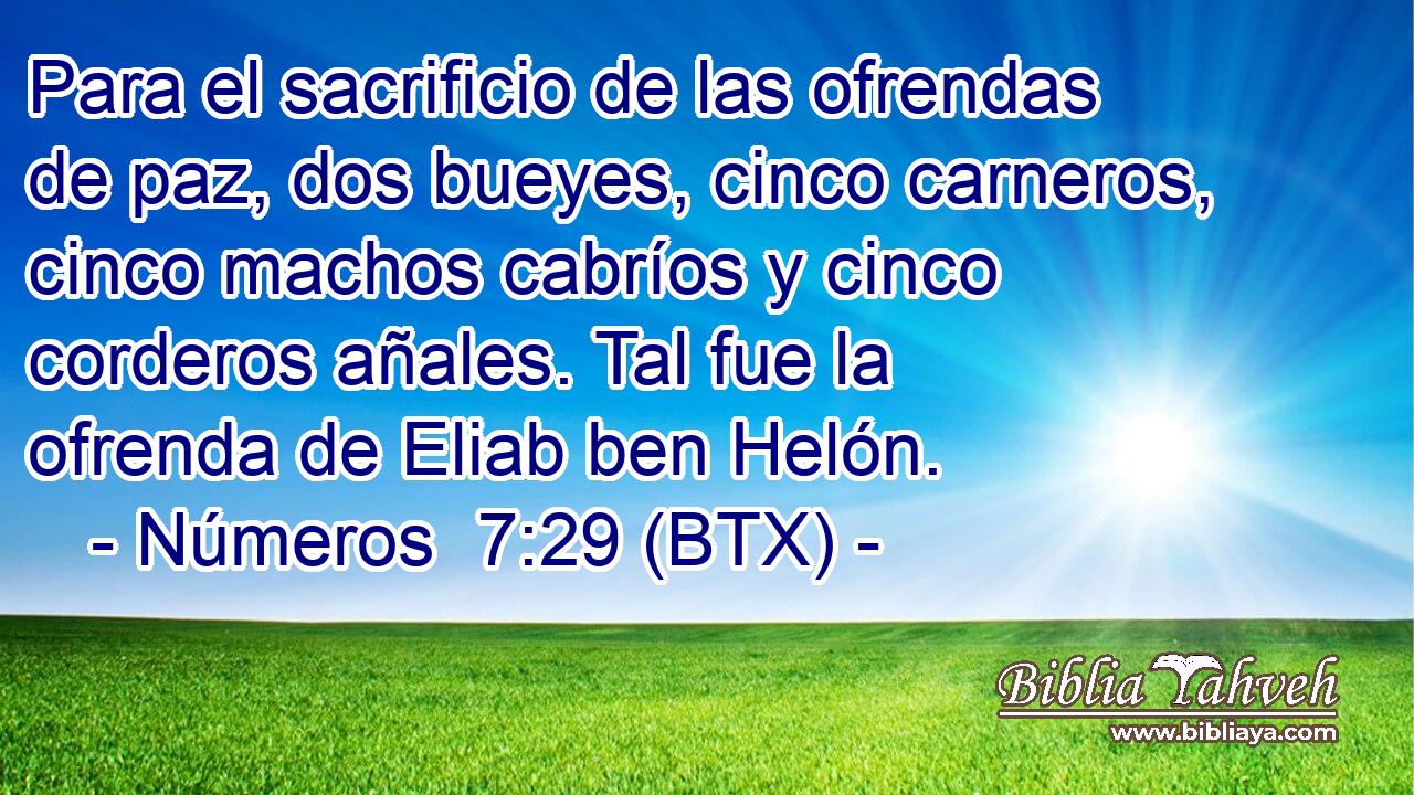 Para el sacrificio de las ofrendas de paz, dos bueyes, cinco carneros, cinco machos cabríos y cinco corderos añales. Tal fue la ofrenda de Eliab ben Helón.
