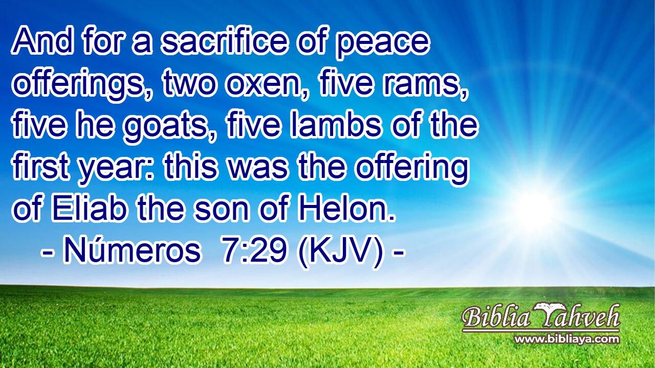 And for a sacrifice of peace offerings, two oxen, five rams, five he goats, five lambs of the first year: this was the offering of Eliab the son of Helon.