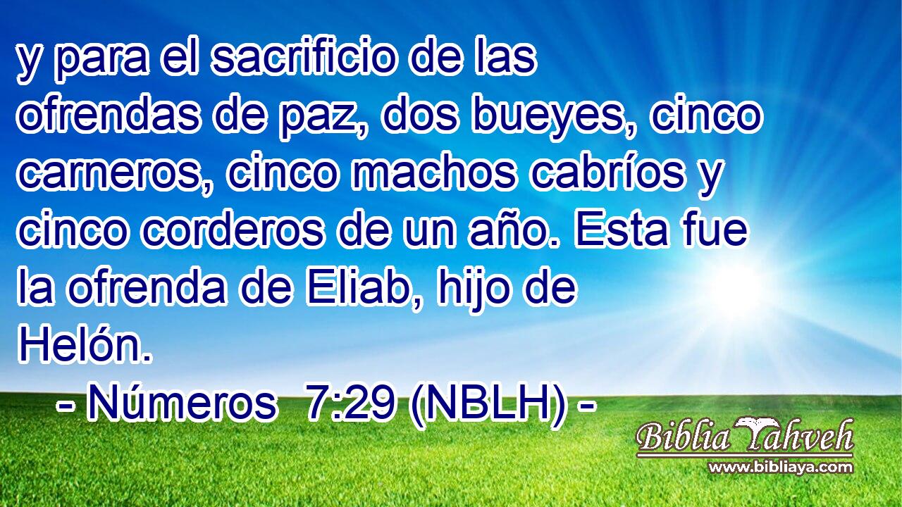  y para el sacrificio de las ofrendas de paz, dos bueyes, cinco carneros, cinco machos cabríos y cinco corderos de un año. Esta fue la ofrenda de Eliab, hijo de Helón. 