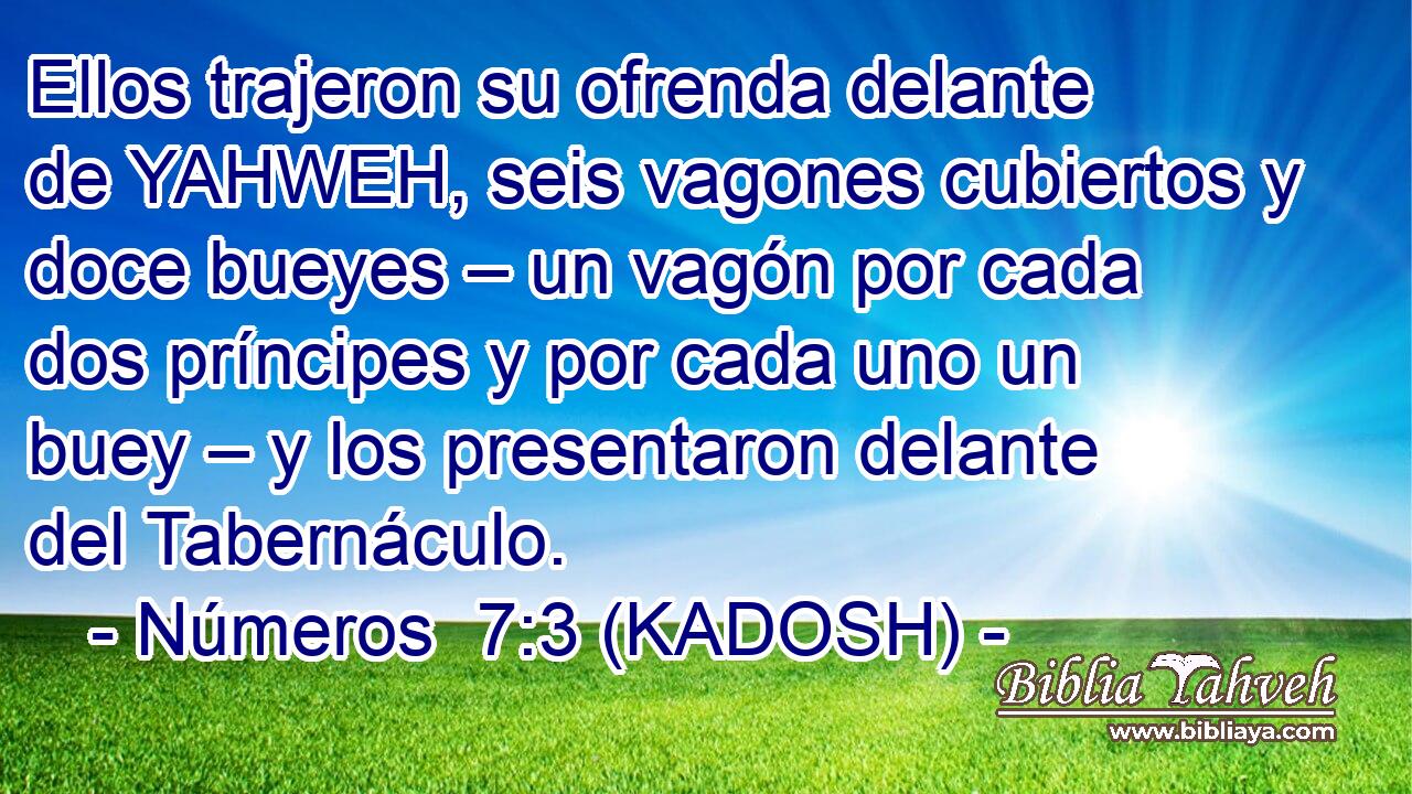  Ellos trajeron su ofrenda delante de YAHWEH, seis vagones cubiertos y doce bueyes – un vagón por cada dos príncipes y por cada uno un buey – y los presentaron delante del Tabernáculo. 