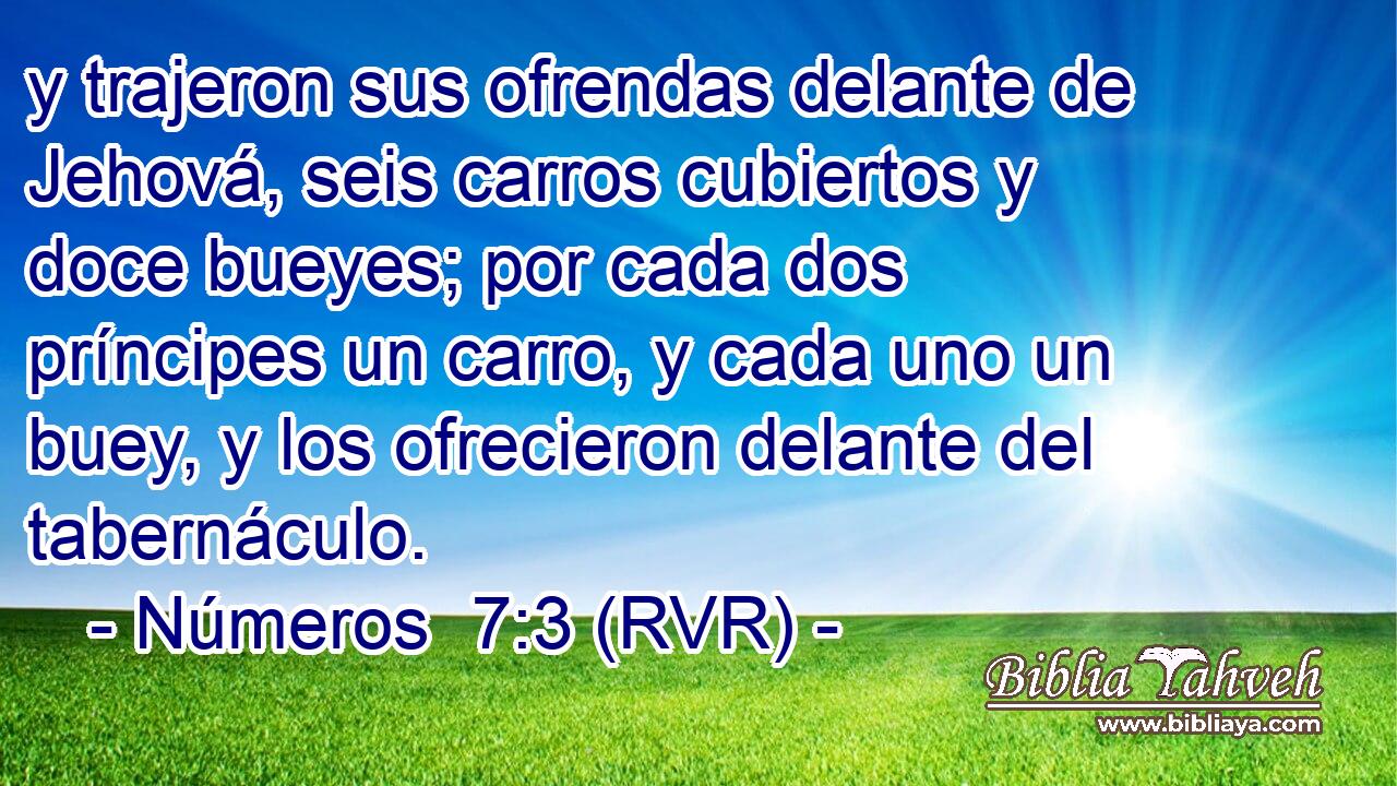y trajeron sus ofrendas delante de Jehová, seis carros cubiertos y doce bueyes; por cada dos príncipes un carro, y cada uno un buey, y los ofrecieron delante del tabernáculo.