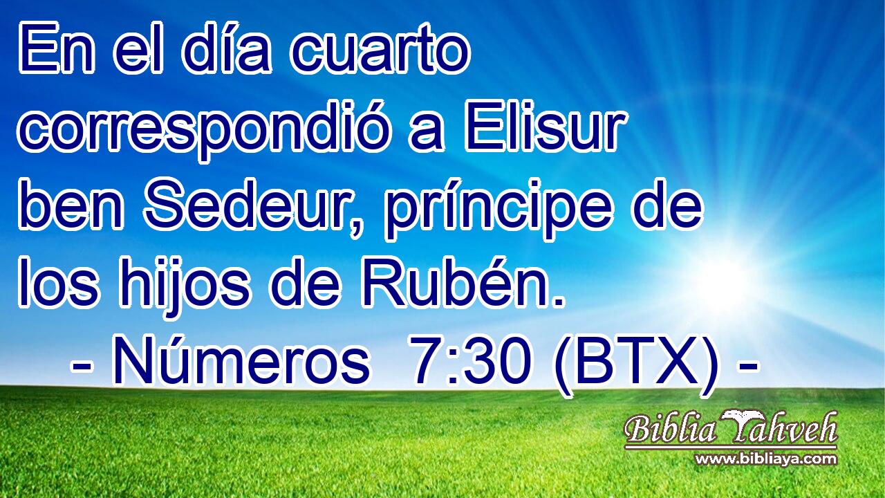 En el día cuarto correspondió a Elisur ben Sedeur, príncipe de los hijos de Rubén.