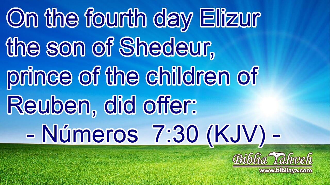 On the fourth day Elizur the son of Shedeur, prince of the children of Reuben, did offer: