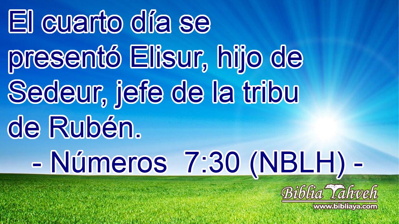  El cuarto día se presentó Elisur, hijo de Sedeur, jefe de la tribu de Rubén. 