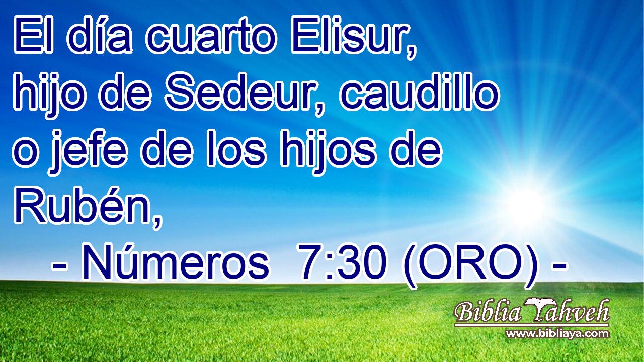  El día cuarto Elisur, hijo de Sedeur, caudillo o jefe de los hijos de Rubén, 