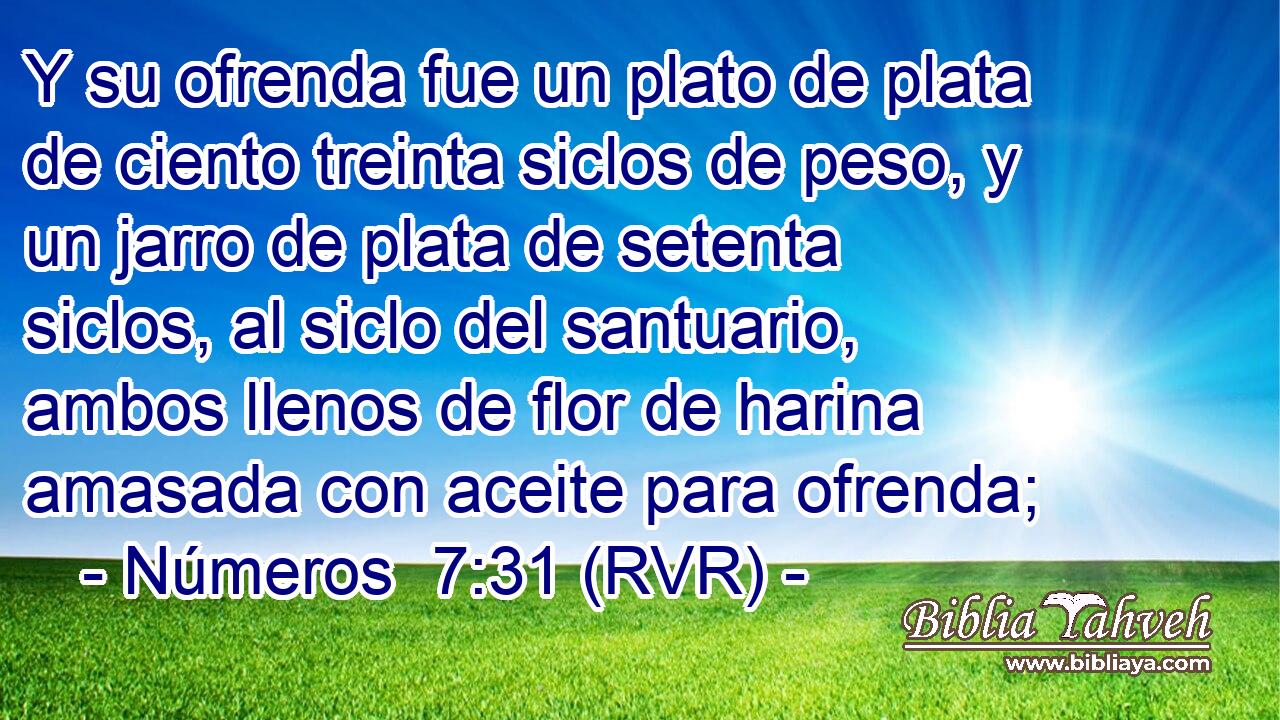 Y su ofrenda fue un plato de plata de ciento treinta siclos de peso, y un jarro de plata de setenta siclos, al siclo del santuario, ambos llenos de flor de harina amasada con aceite para ofrenda;